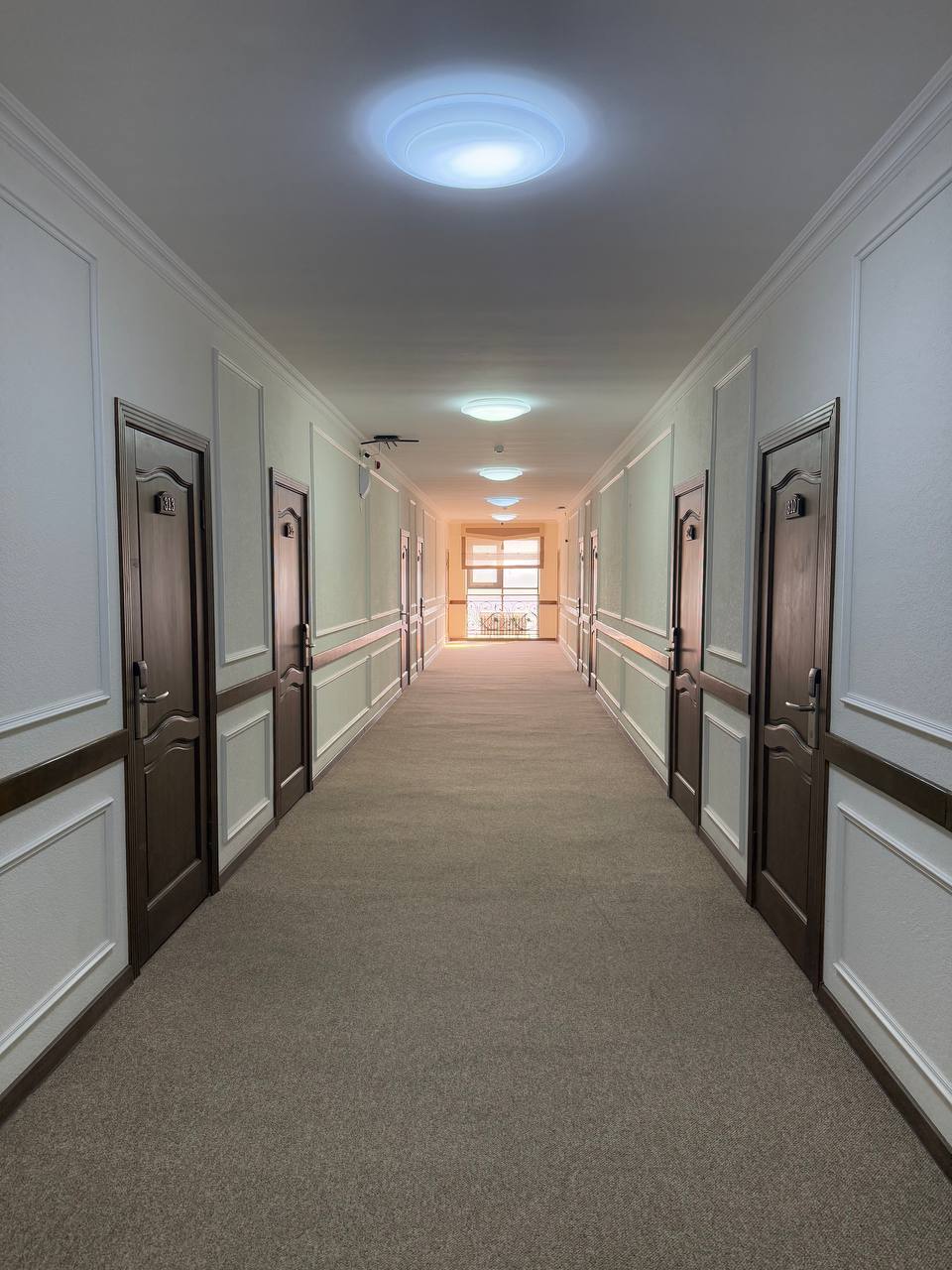 photo_2025-03-12_22-54-10